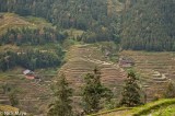 Elegantly Terraced Hillsides