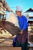 Older Lady Winnowing Rice