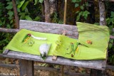 Offerings To The Spirits