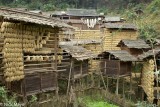 Racks Of Drying Rice