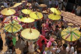 Parasols Of Gold