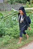 Returning From Chopping Fodder