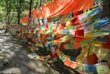 Prayer Flags At Radtanling Monastery