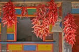 Drying Chillies