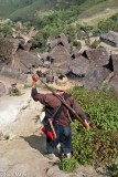 Descending To The Thatched Village