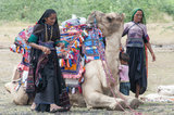 Two Kutchi Rabari Women & Camel