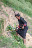 Loma Woman At Work In The Fields
