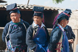 Four Women At The Wedding