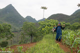 Heiyi Zhuang Woman Walking Home