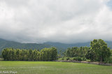 Storm Clouds & New Paddy