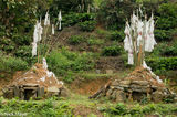 Graves