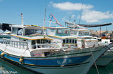 Fishing Boats In Harbour