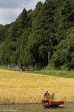 Farmer & Golden Field