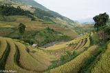 Valley Of Terraces