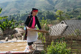 Black Dao Woman Winnowing