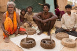 Sawar Gond Snake Catchers