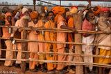 Sadhus Queueing For Tea