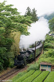 Steam Train On The Oigawa Railway