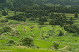 Hoshitouge Tanada