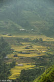 Terraces & Field Huts