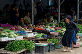 Checking Out The Vegetables