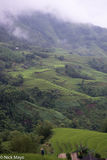 Valley Under Descending Cloud