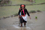 Black Dao Woman Wading In The Field