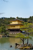 Kinkaku-ji