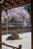 Ryoan-ji