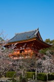 Ninna-ji