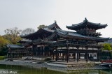 Byodo-in