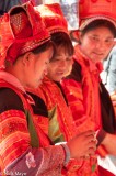 Three In Orange