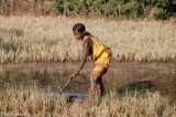 Badaparaja Woman