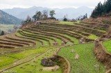 Curving Terraces