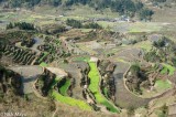 A Pattern Of Winter Terraces