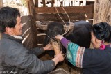 Feeding The Buffalo