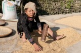 Pounding Rice
