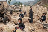 Taking A Tea Break On Thatching Day