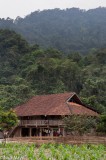 Red Tiled Thai House