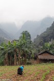 Farming Below The Misty Peaks