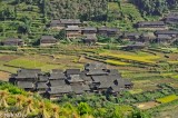 Grey Tiled Villages In Paddy Fields