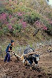 Tilling