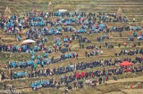 Crowd Watching The Bullfight