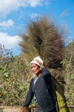 Carrying The Feathered Grass