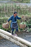 Woman Carrying Watermelons