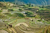 Arcing Fields