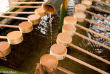 Temizuya Ladles