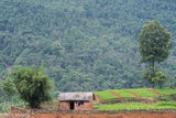 Mud Hut
