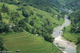 Terraced Valley Of Green