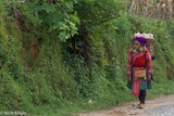 Hmong Woman Carrying Corn Home